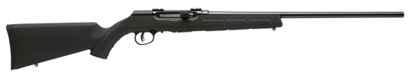 A17 HM2